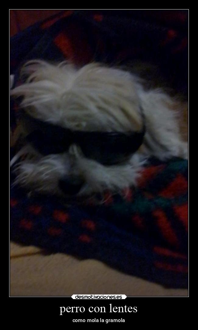 carteles risa simpsons desmotivaciones