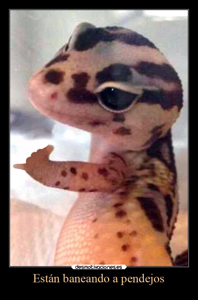 carteles sexo desmotivaciones