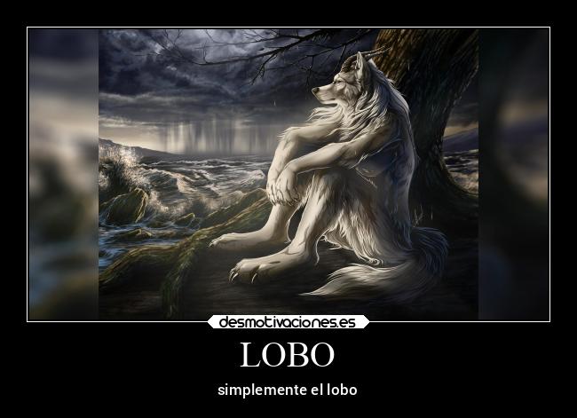 LOBO - simplemente el lobo