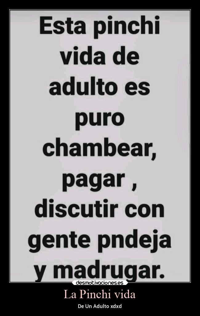 La Pinchi vida - De Un Adulto xdxd