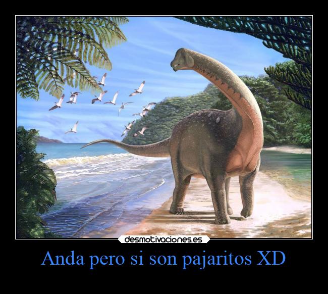 Anda pero si son pajaritos XD - 