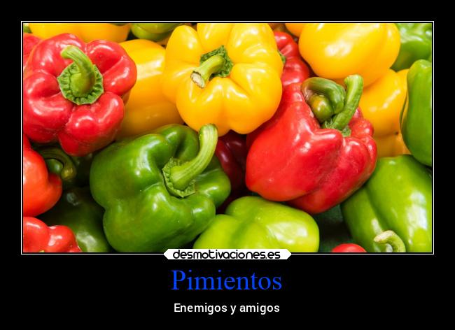 Pimientos - 