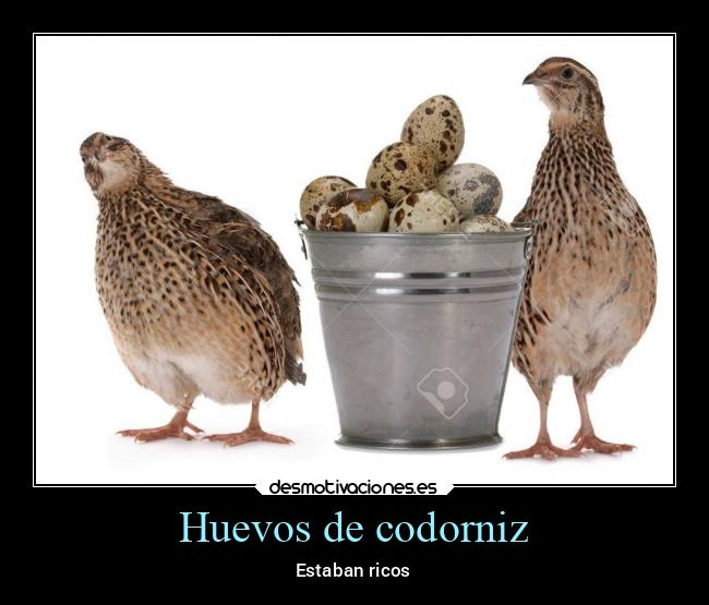 Huevos de codorniz -