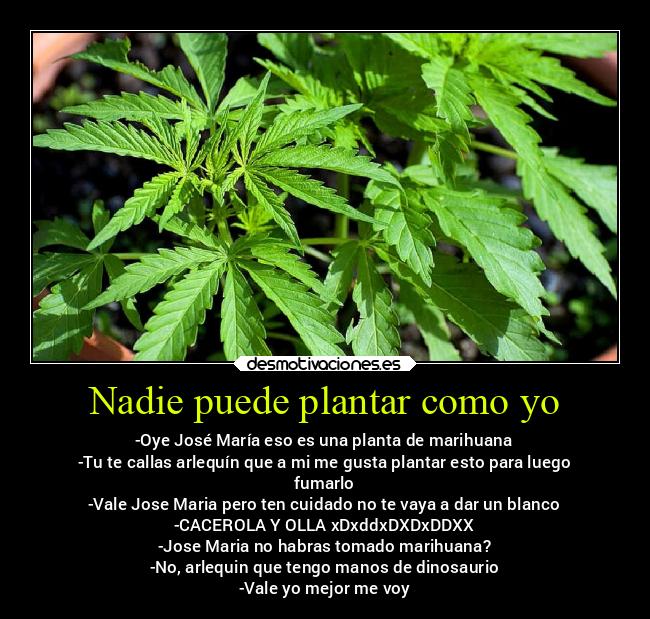 Nadie puede plantar como yo -