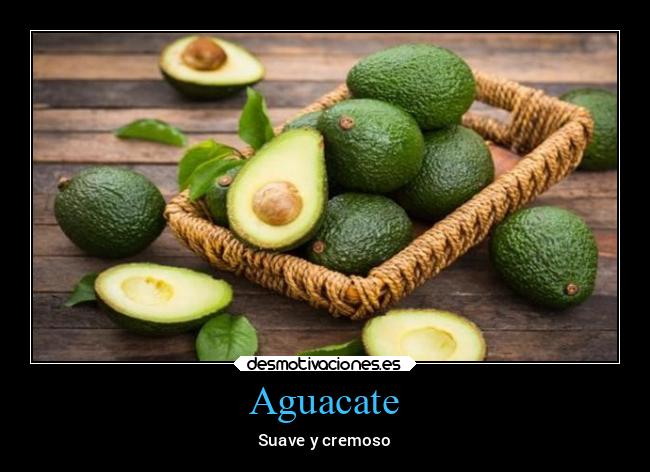 Aguacate - 