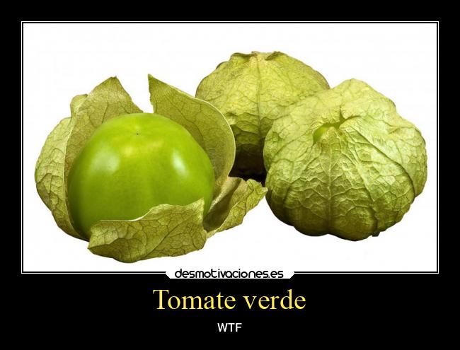 Tomate verde -