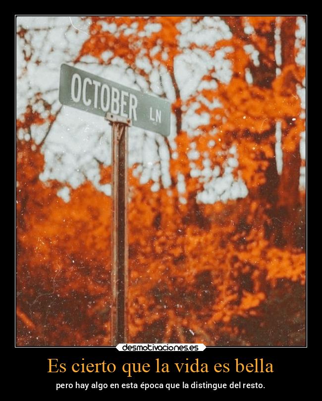 Es cierto que la vida es bella - pero hay algo en esta época que la distingue del resto.