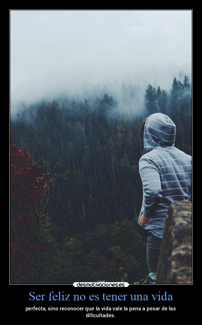 Ser feliz no es tener una vida - 