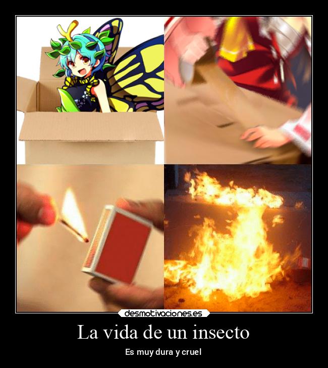 La vida de un insecto - Es muy dura y cruel