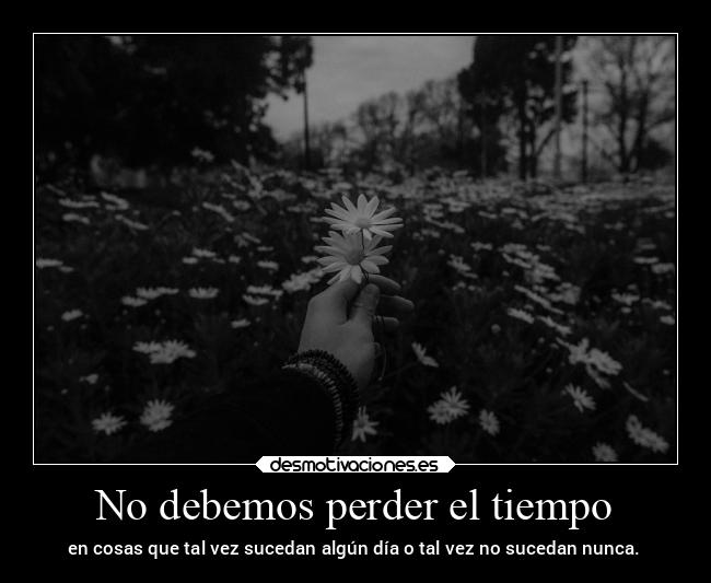 carteles vida kurara7 soyunapanda colleenhoover romperelcirculo desmotivaciones