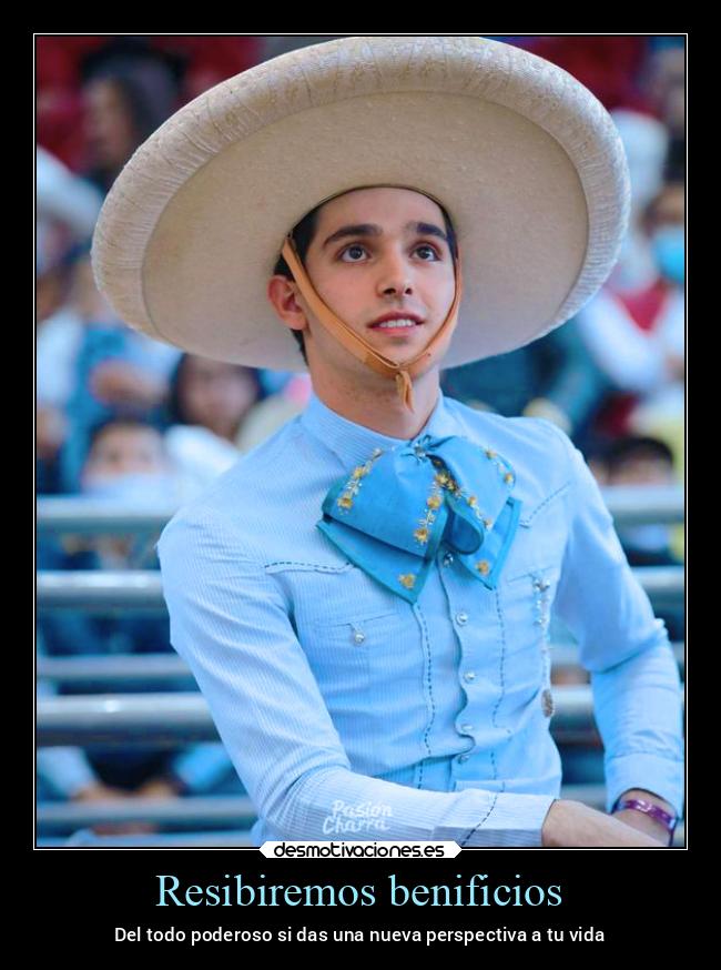 carteles vida mexico poder perspectivas mexico2022 desmotivaciones