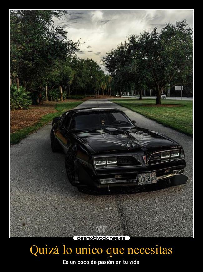 Quizá lo unico que necesitas - 