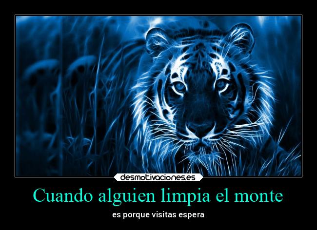 Cuando alguien limpia el monte - 