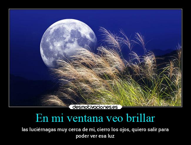 carteles caracter alicea waltkdameprinsi corrupcion noveolasmejoras nocompraronelsitio desmotivaciones