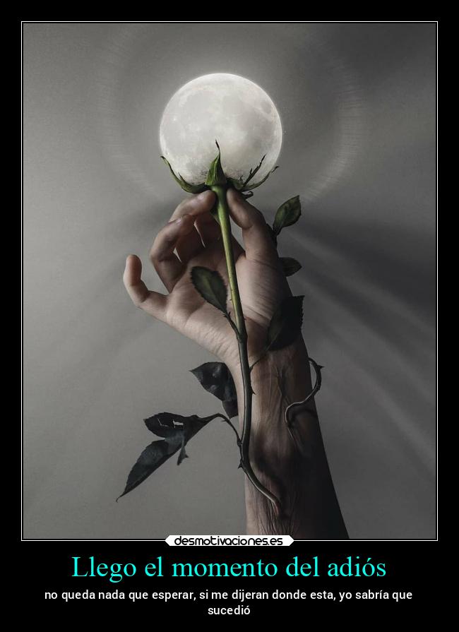 Llego el momento del adiós - 
