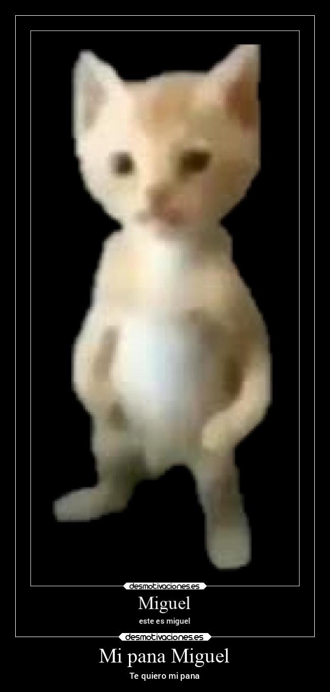 Mi pana Miguel -