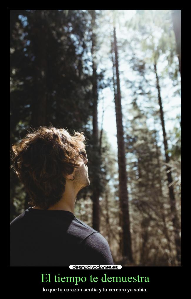El tiempo te demuestra - 