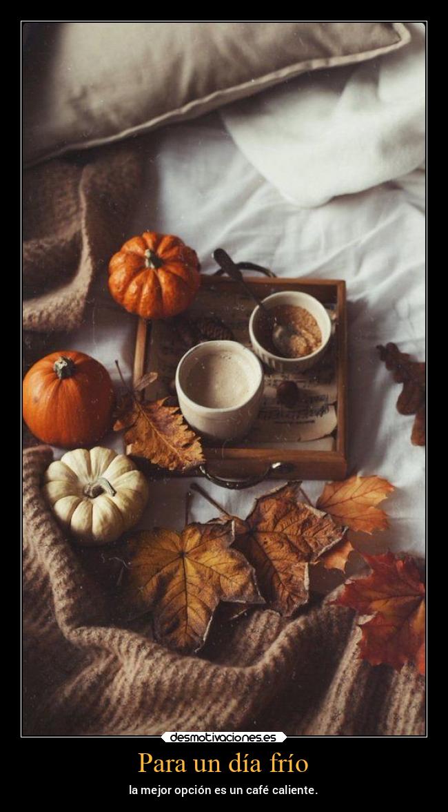 Para un día frío - la mejor opción es un café caliente.