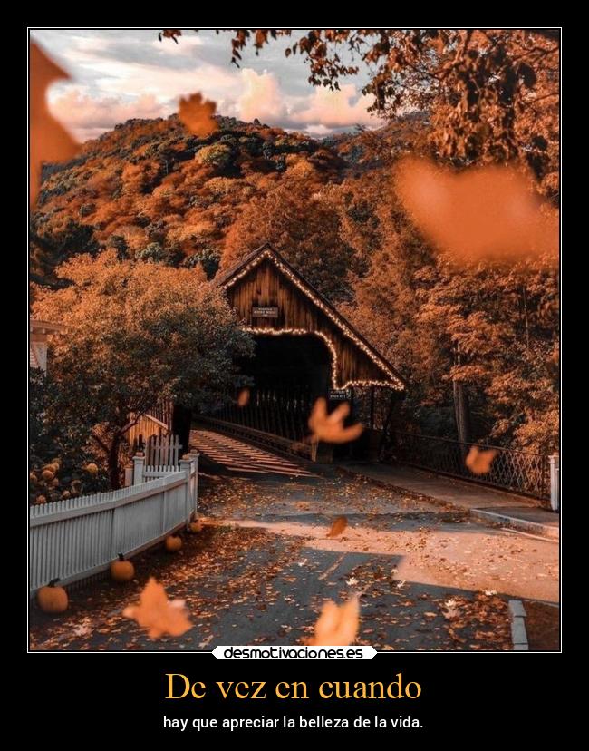 De vez en cuando - hay que apreciar la belleza de la vida.