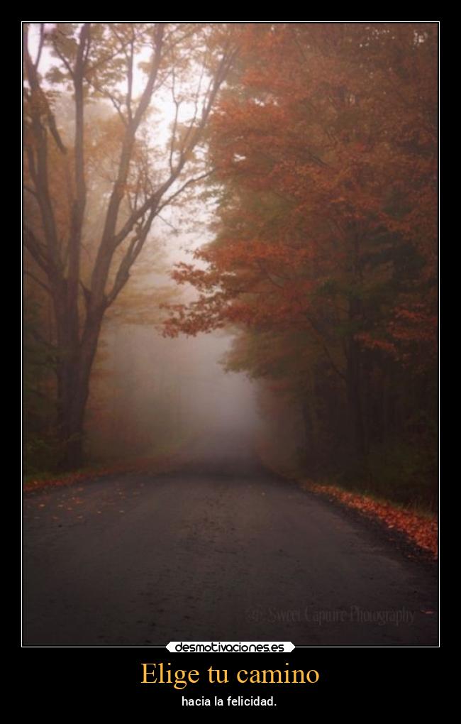 Elige tu camino - hacia la felicidad.