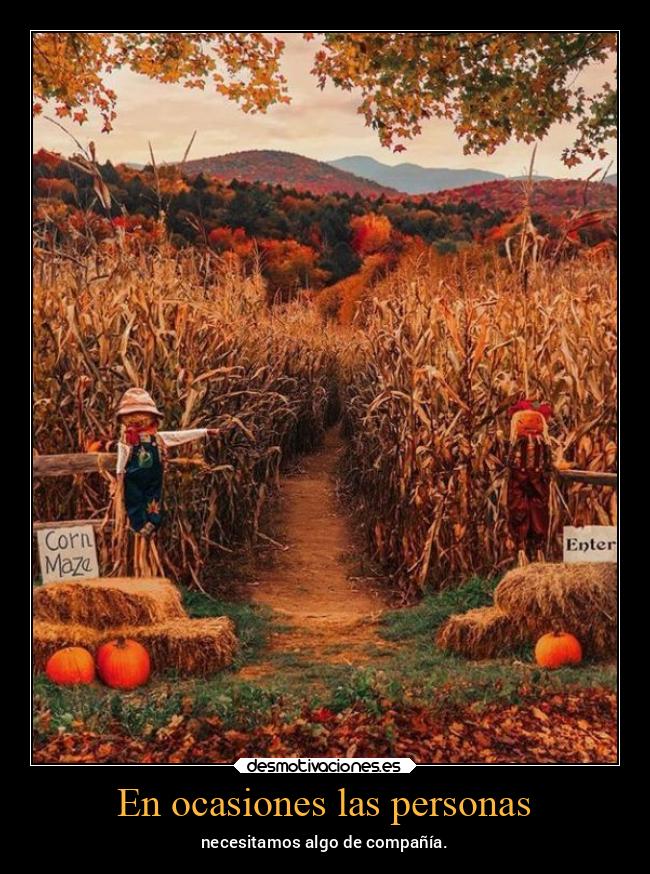 En ocasiones las personas - necesitamos algo de compañía.