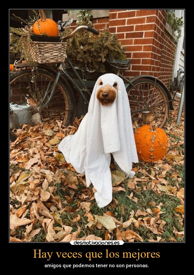 carteles desmotivaciones vida iambafaculo teamdelasesino otono2022 desmohalloween2022 desmotivaciones