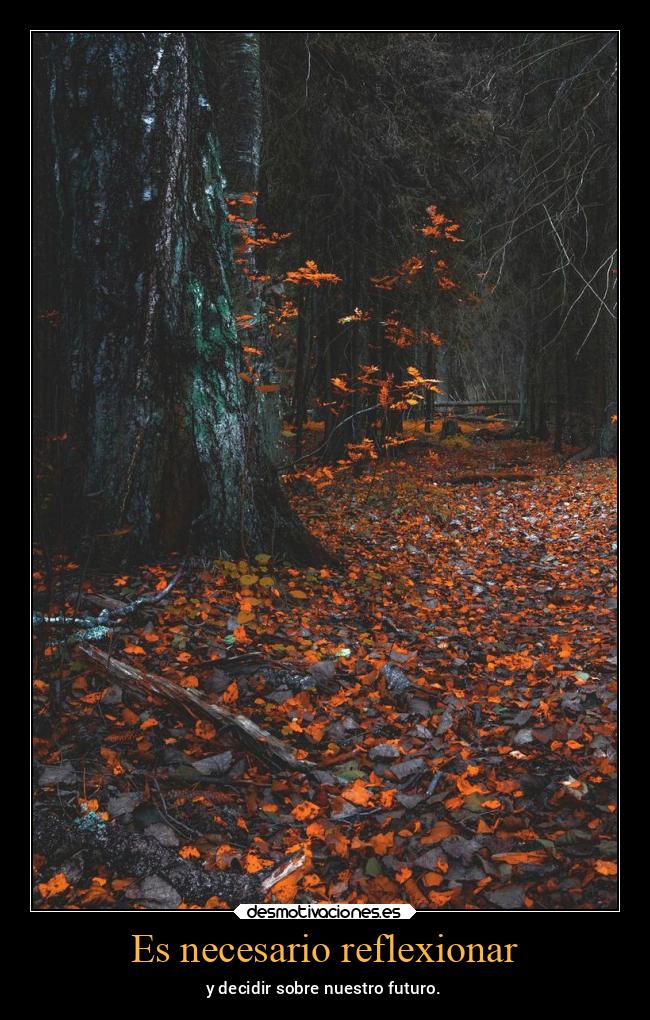 Es necesario reflexionar - y decidir sobre nuestro futuro.
