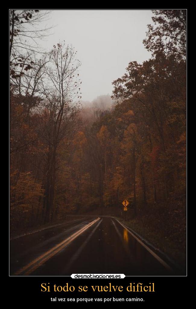 Si todo se vuelve difícil - tal vez sea porque vas por buen camino.