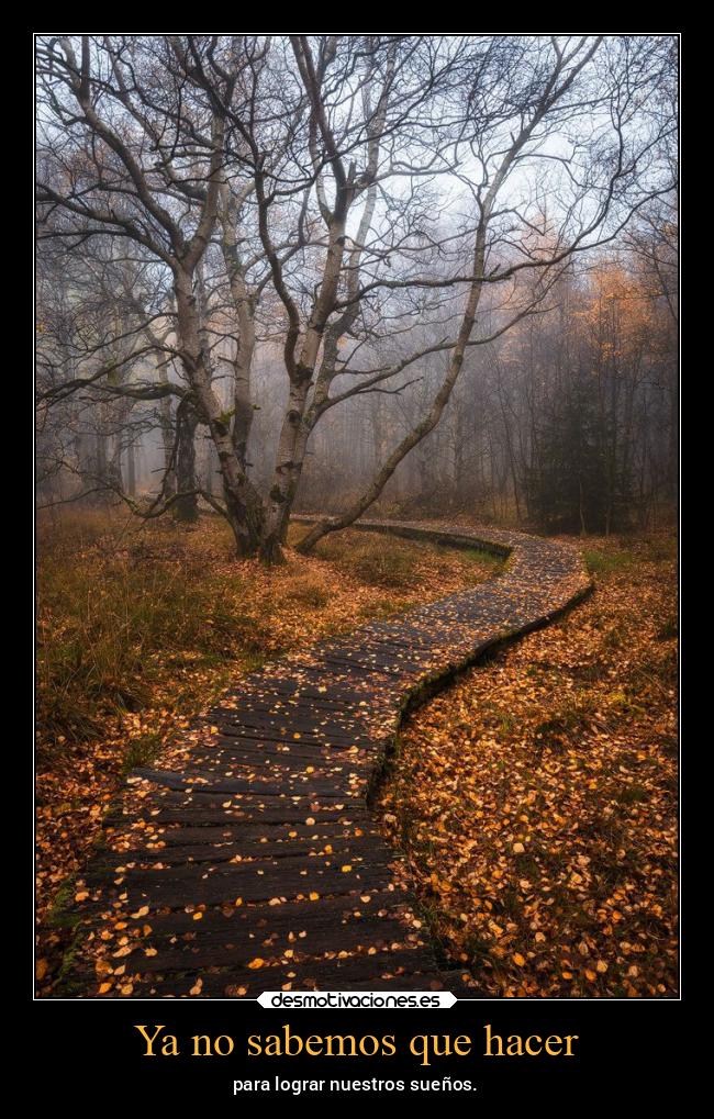 Ya no sabemos que hacer - para lograr nuestros sueños.