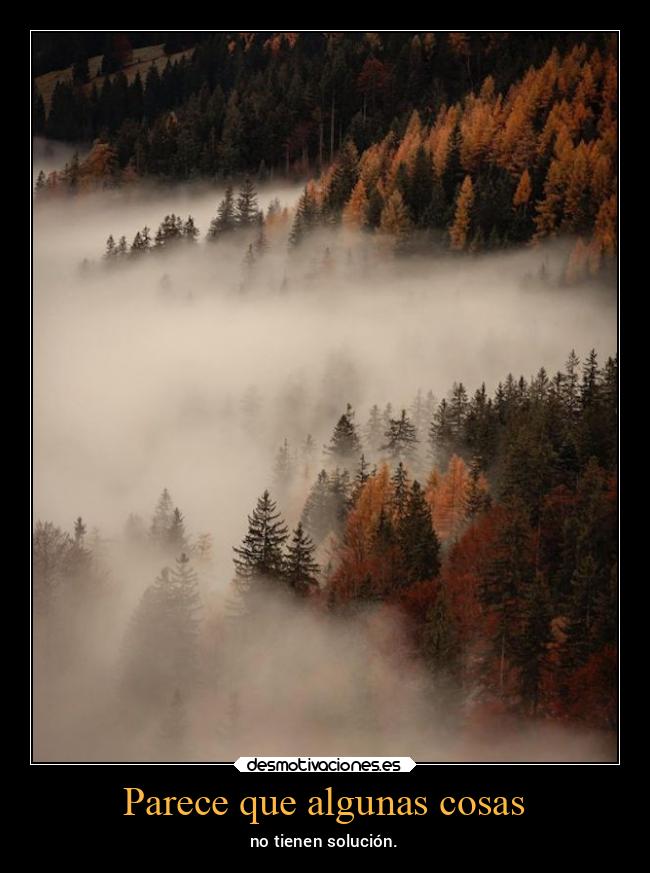 Parece que algunas cosas - no tienen solución.