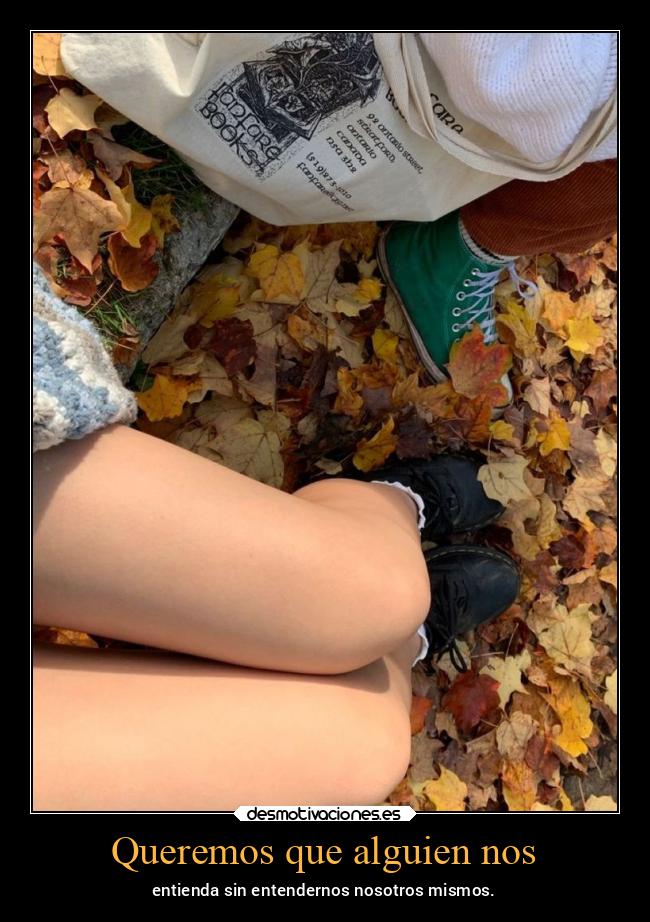 Queremos que alguien nos - entienda sin entendernos nosotros mismos.