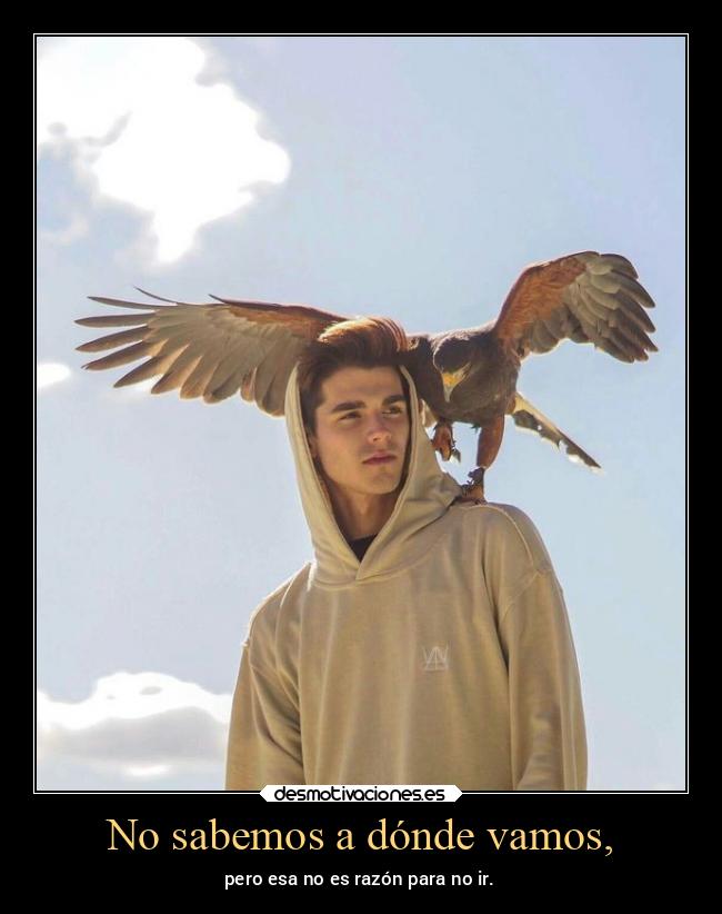 No sabemos a dónde vamos, - 