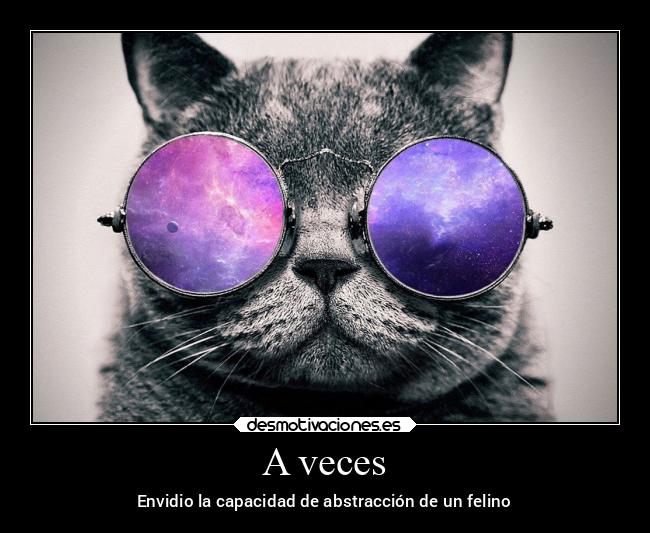 carteles gatos desmotivaciones