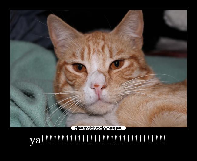 carteles hipster desmotivaciones