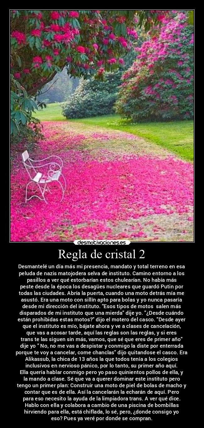 Regla de cristal 2 - Desmantelé un día más mi presencia, mandato y total terreno en esa
peluda de nazis matojodera selva de instituto. Camino entorno a los
pasillos a ver qué estorbarían estos chulearían. No había más
peste desde la época los desagües nucleares que guardó Putin por
todas las ciudades. Abría la puerta, cuando una moto detrás mía me
asustó. Era una moto con sillín apto para bolas y yo nunca pasaría
desde mi dirección del instituto. Esos tipos de motos  salen más
disparados de mi instituto que una mierda dije yo. ¿Desde cuándo
están prohibidas estas motos? dijo el motero del casco. Desde ayer
que el instituto es mío, bájate ahora y ve a clases de cancelación,
que vas a acosar tarde, aquí las reglas son las reglas, y si eres
trans te las siguen sin más, vamos, que sé que eres de primer año
dije yo  No, no me vas a despistar y conmigo la diste por enterrada
porque te voy a cancelar, come chanclas dijo quitandose el casco. Era
Alikassub, la chica de 13 años la que todos tenía a los colegios
inclusivos en nervioso pánico, por lo tanto, su primer año aquí.
Ella quería hablar conmigo pero yo paso quinientos pollos de ella, y
la mando a clase. Sé que va a querer dominar este instituto pero
tengo un primer plan: Construir una moto de piel de bolas de macho y
contar que es de ella. Así la cancelarán la echarán de aquí. Pero
para eso necesito la ayuda de la limpiadora trans. A ver qué dice.
Hablo con ella y colabora a cambio de una piscina de bombillas
hirviendo para ella, está chiflada, lo sé, pero, ¿donde consigo yo
eso? Pues ya veré por donde se compran.