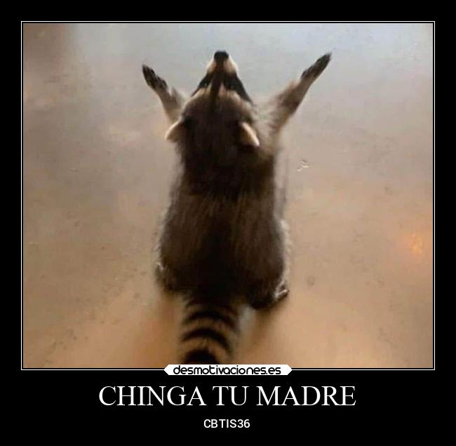 CHINGA TU MADRE - CBTIS36