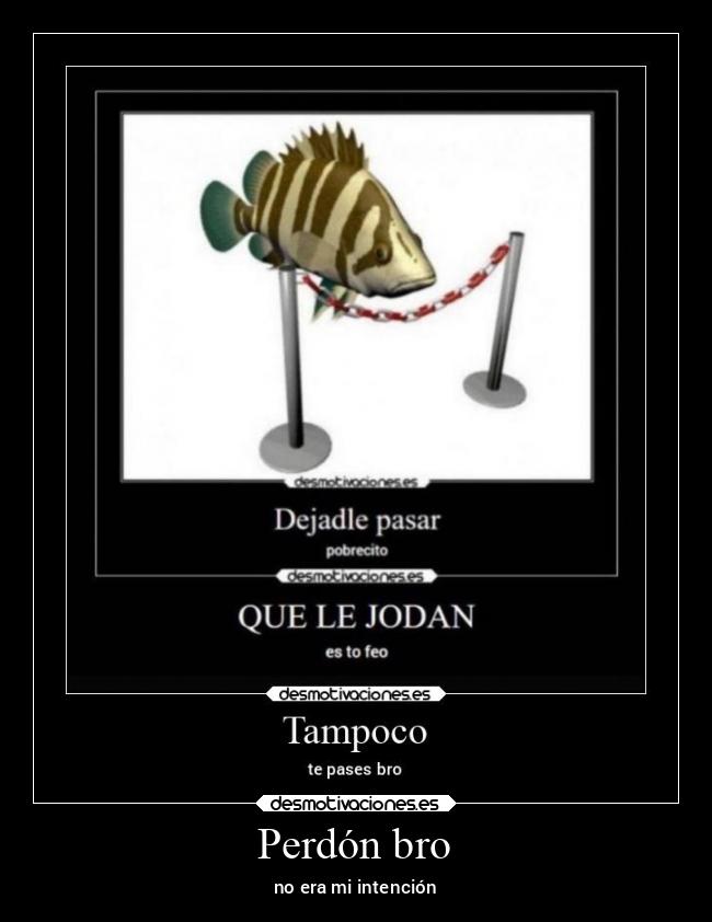 carteles memes desmotivaciones