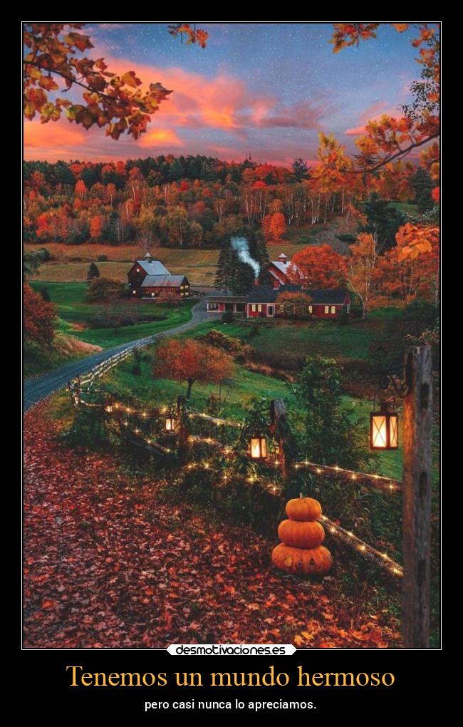Tenemos un mundo hermoso - pero casi nunca lo apreciamos.