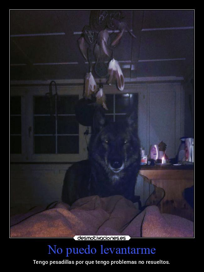 carteles problemas resueltos noche noche2022 teamdelasesino desmohalloween2022 desmotivaciones