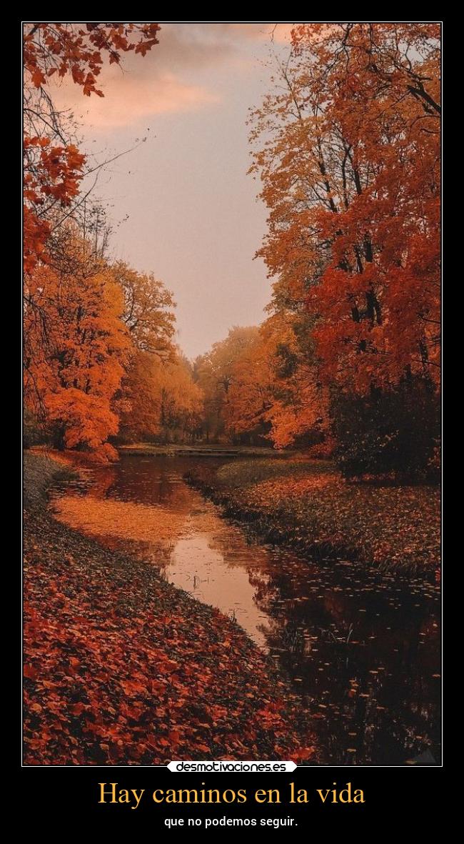 Hay caminos en la vida - que no podemos seguir.