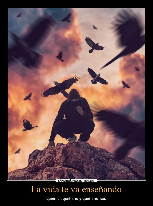 La vida te va enseñando - 