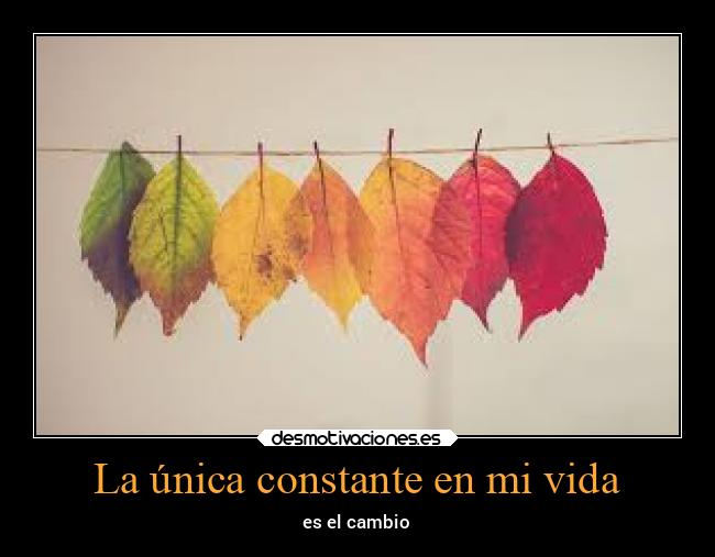 carteles vida destino filosofia libertad desmotivaciones