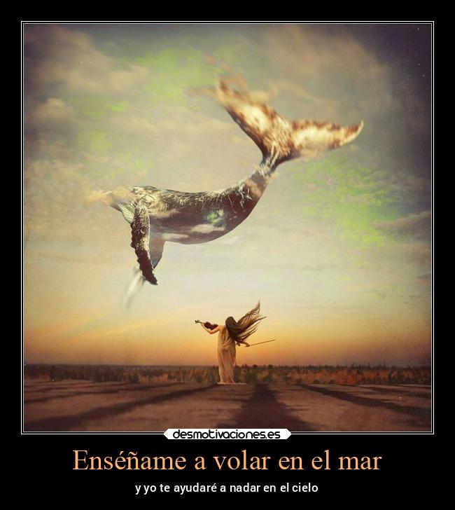Enséñame a volar en el mar -