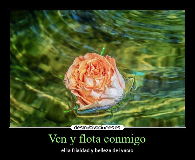 Ven y flota conmigo -