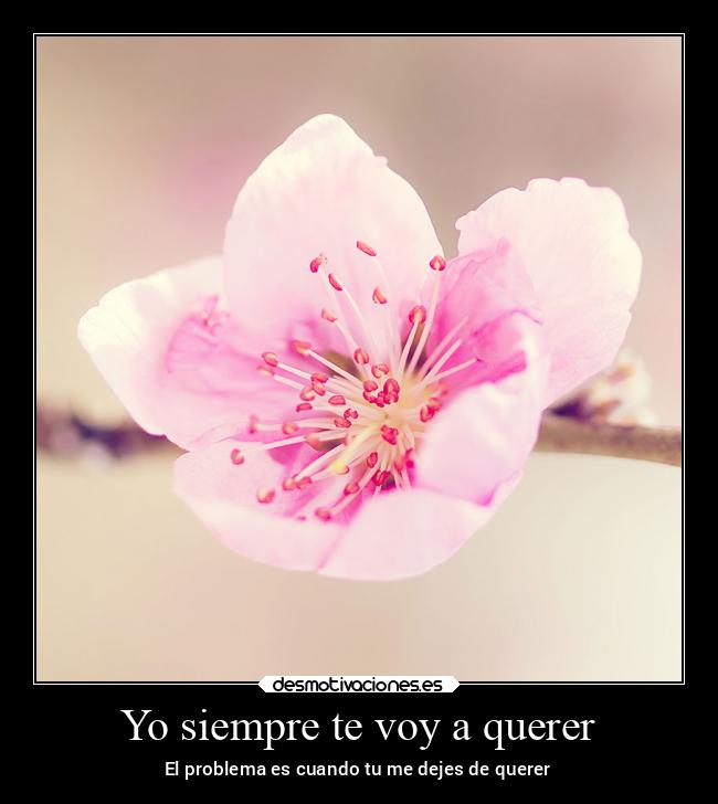 Yo siempre te voy a querer - 