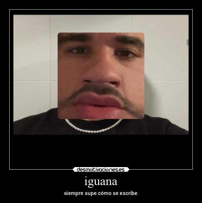 iguana - siempre supe cómo se escribe