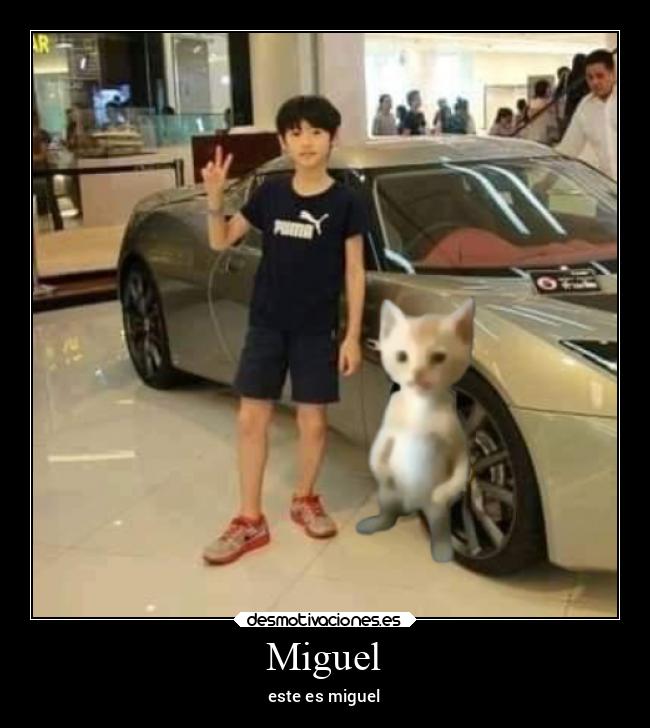 Miguel - este es miguel