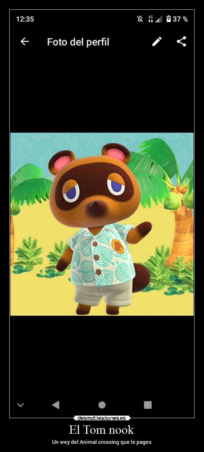 El Tom nook - Un wey del Animal crossing que le pages