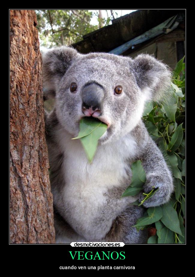 VEGANOS - cuando ven una planta carnívora