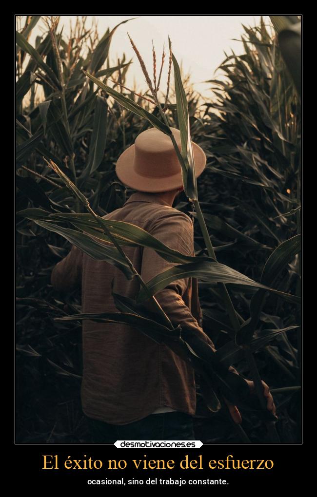 El éxito no viene del esfuerzo - 